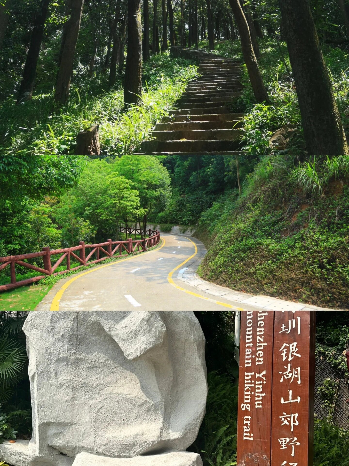 续上次发的深圳登山合集,这次又给大家细分整理了福田爬山合集攻略