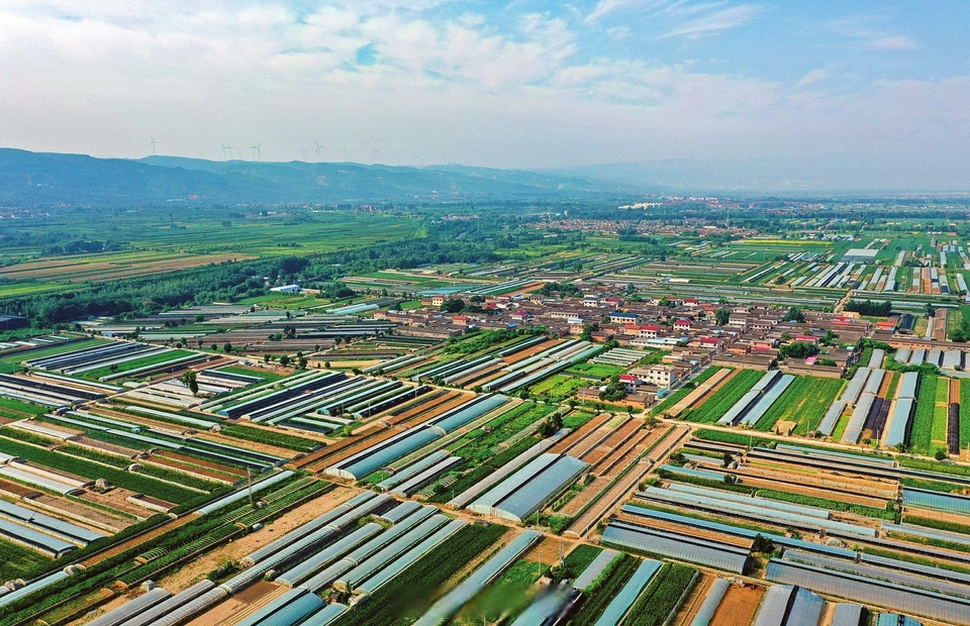 【乡村振兴 田园画卷】7月19日,夏县裴介镇广阔田野上,蔬菜大棚,碧绿