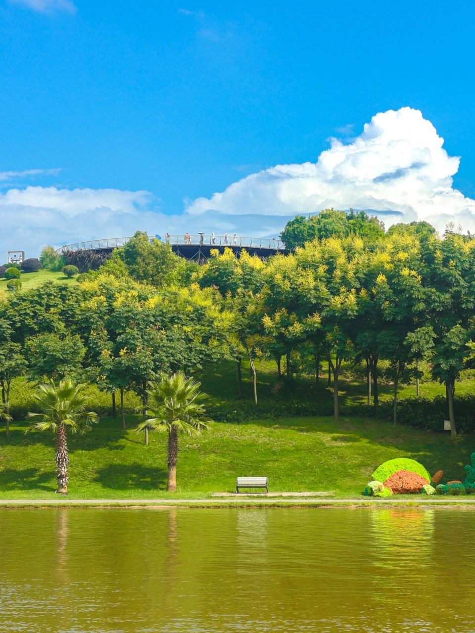 美翻了  弥勒旅行的第一站 太平湖森林公园真的太美了 蓝天 白云 湖水