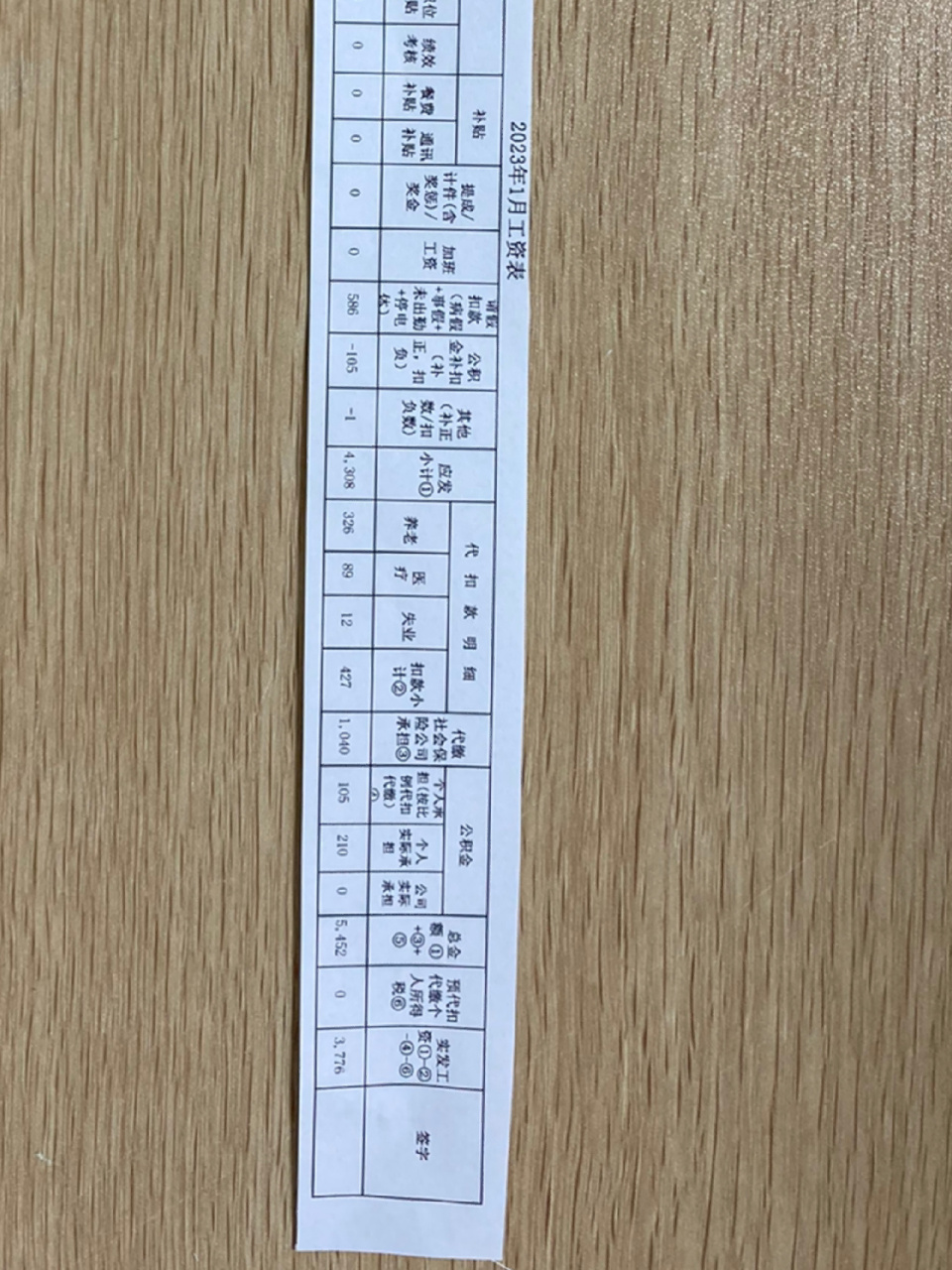 给大家看下真实的武汉打工人的工资条 我还有什么理由不跑路哩… 今天