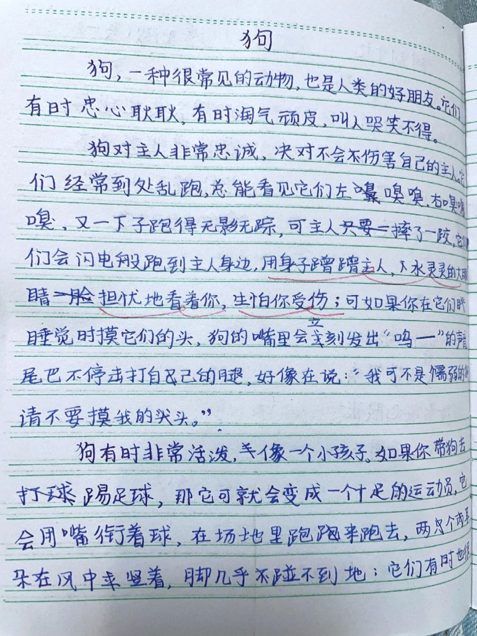 四年级作文——小动物作文《狗》20