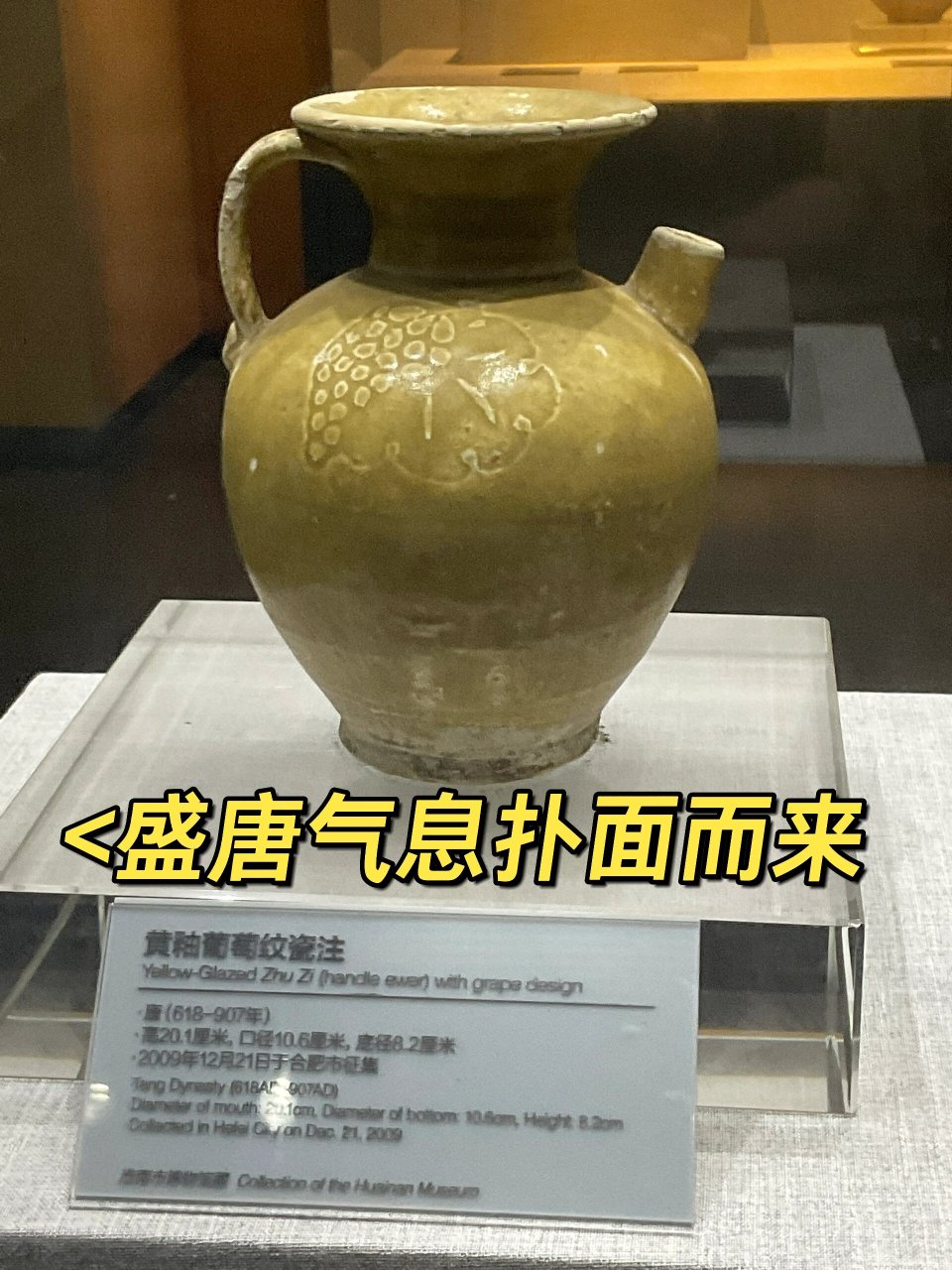 寿州窑黄釉葡萄纹执壶 黄釉葡萄纹执壶 唐(618~907年) 口径10.