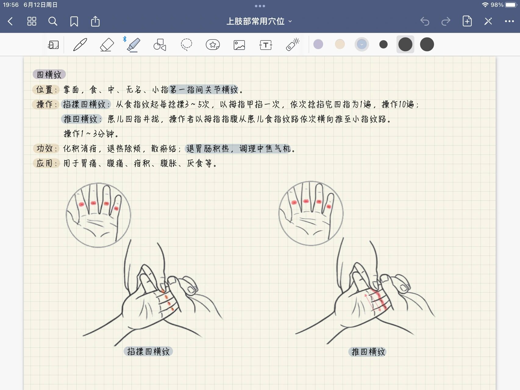 小儿推拿97四横纹,小横纹,掌小横纹,大横纹