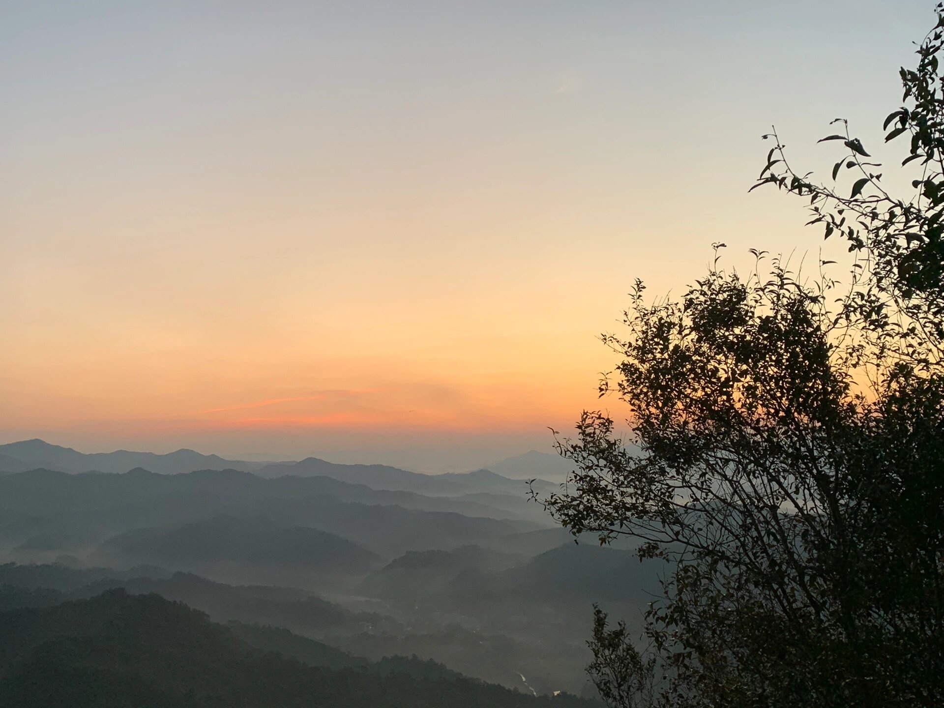 河源市梧桐山公园图片