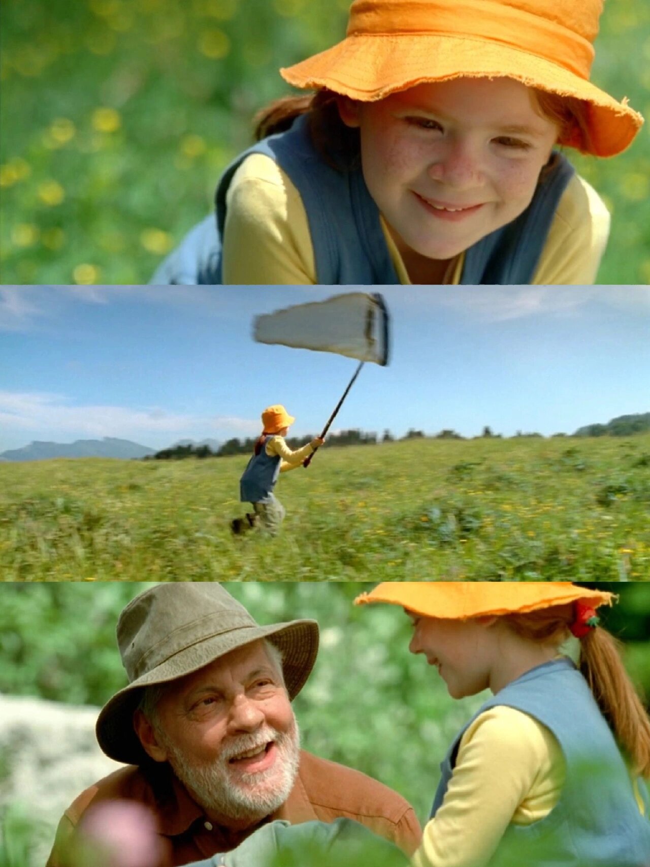 90终于找到海蒂和爷爷同款电影,好温馨啊 90《蝴蝶》(2002) 03