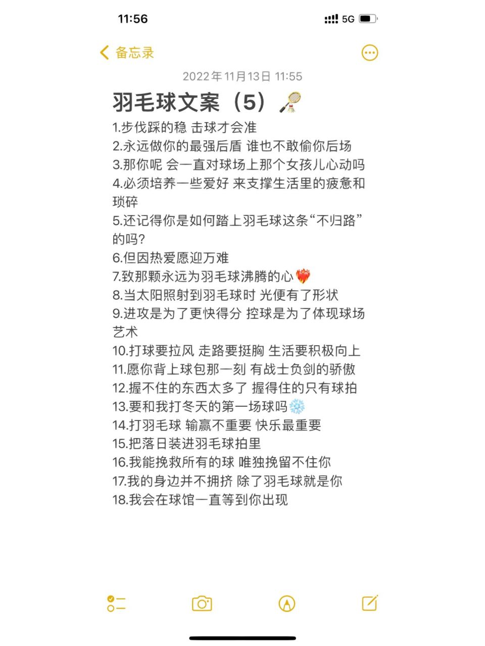 羽毛球文案(5)|致那颗永远为羽毛球沸腾    羽毛球文案(5)9615 1.