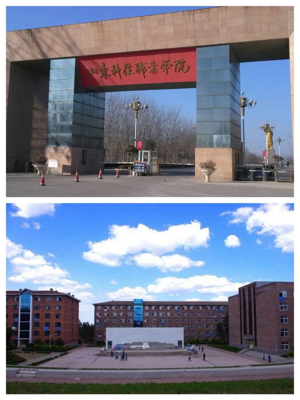 山东科技职业学院 logo图片