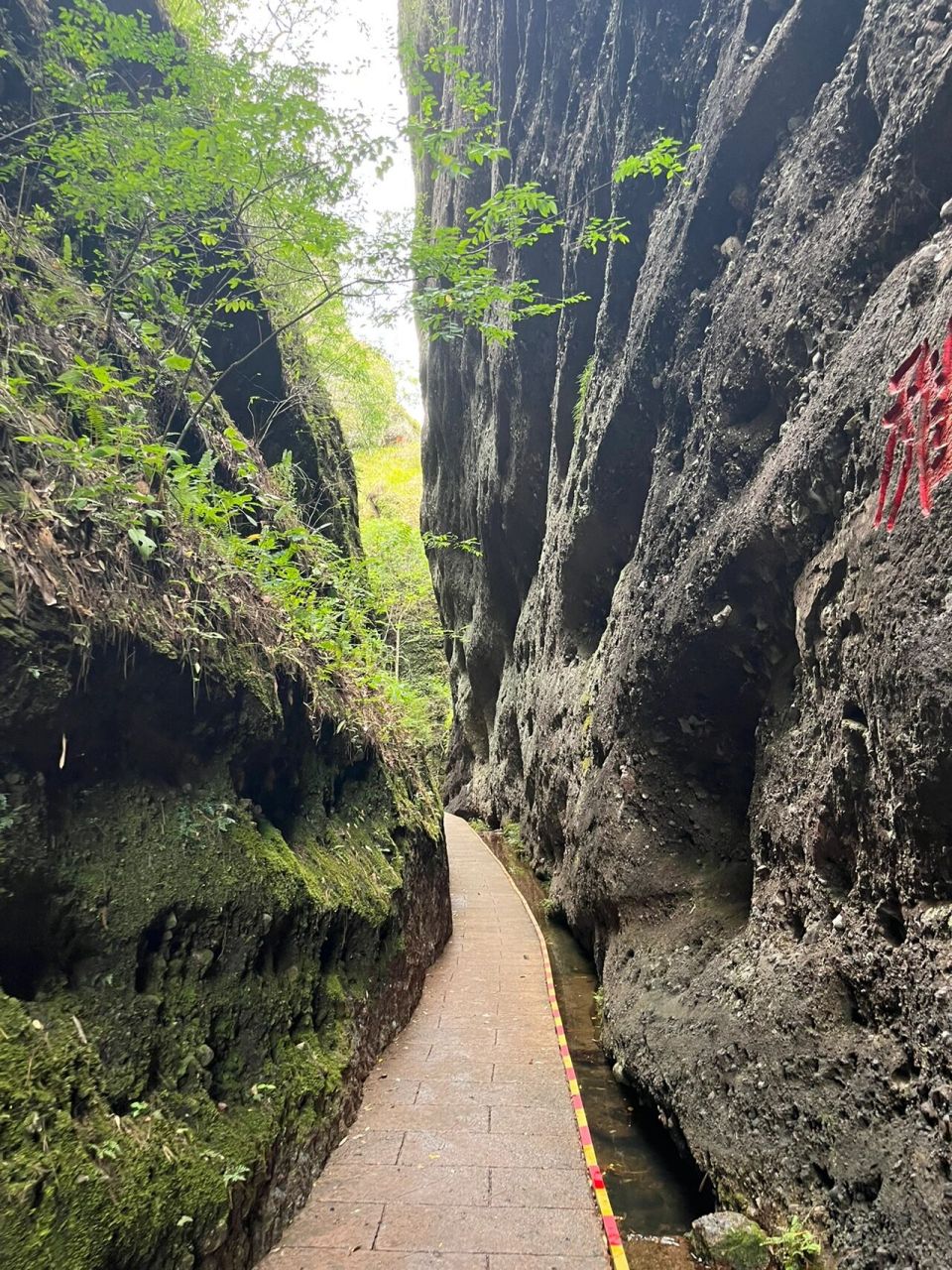 97龙岩周边自驾游 7515冠豸山旅行最全攻略 97999799