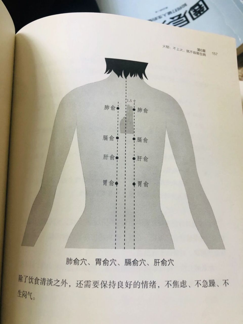 女人拔罐位置图图片