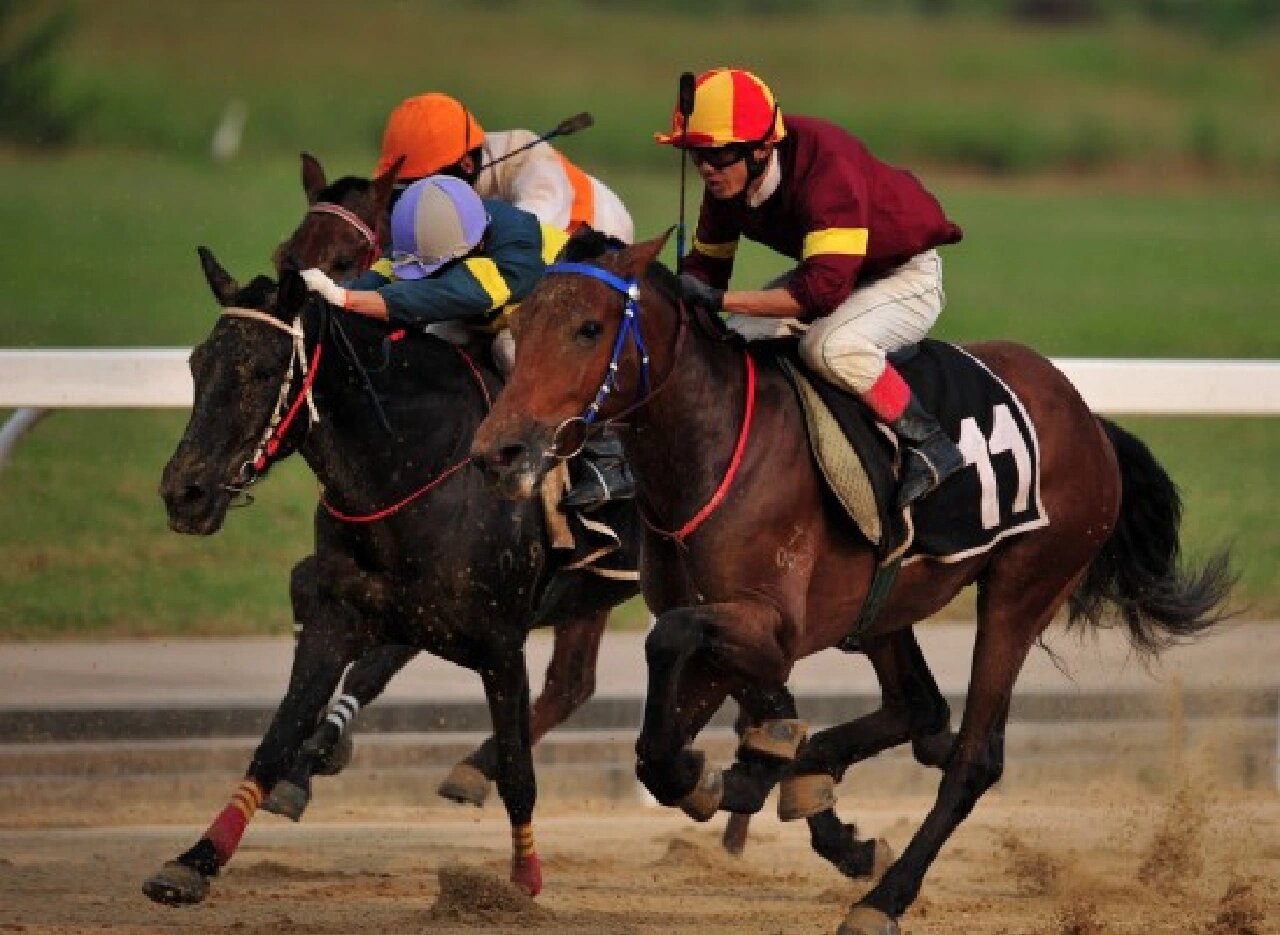 赛马绘画素材整理分享