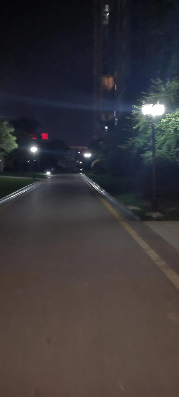 小孩的哭喊声夹杂着大人的呵斥,狗狗猫儿的声音,外面工地施工的声音