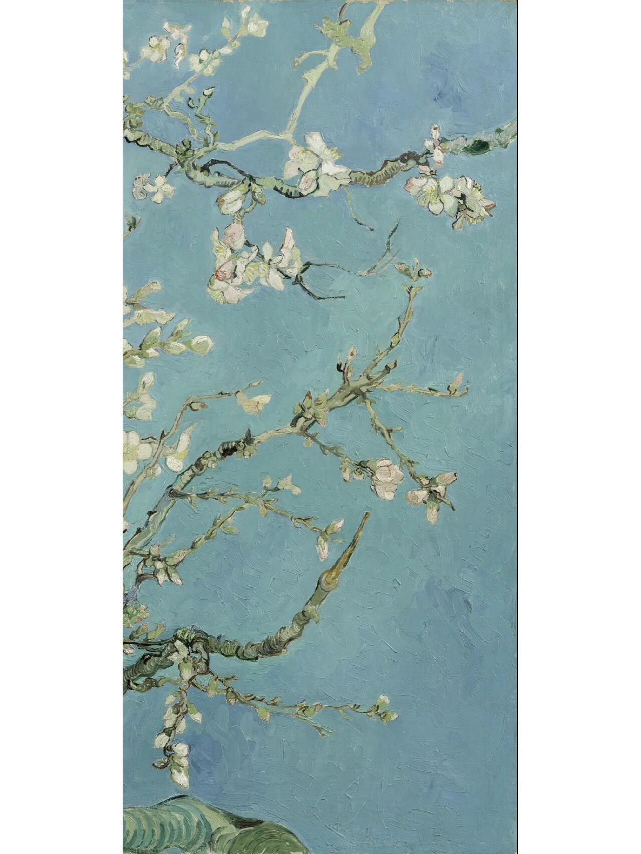 梵高《盛开的杏花》