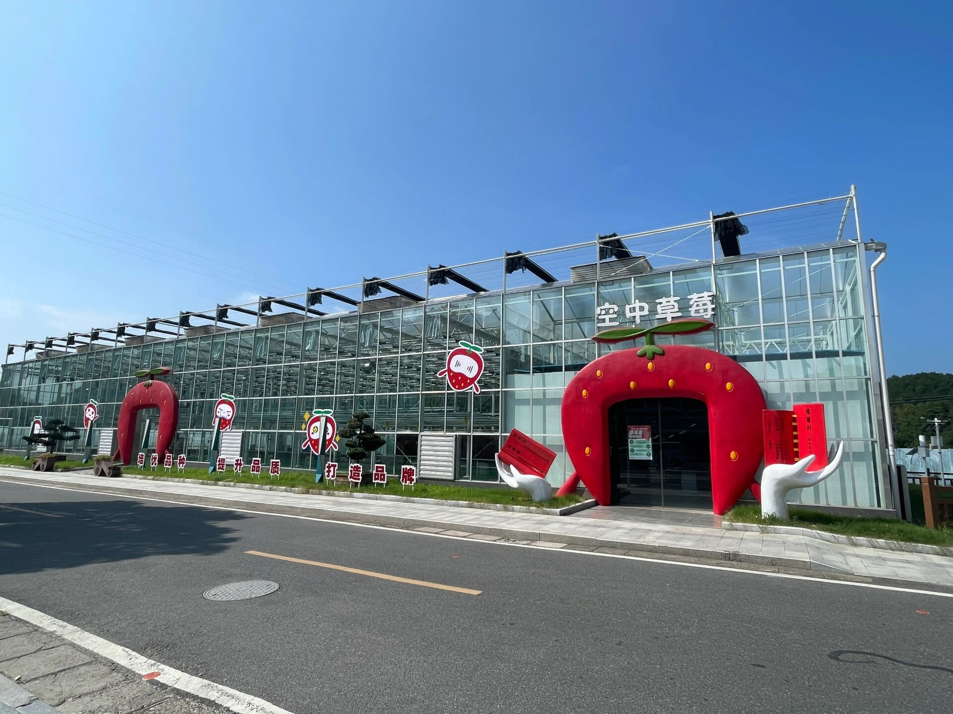 莓农必打卡地草莓小镇