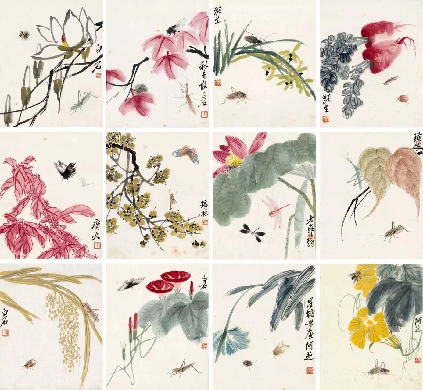 中国画 | 中国画初级 适合国画初学者的花鸟