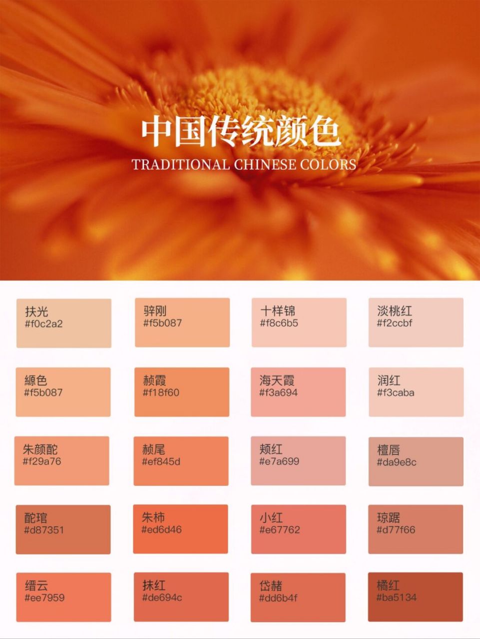 橙色系所有颜色分类图片