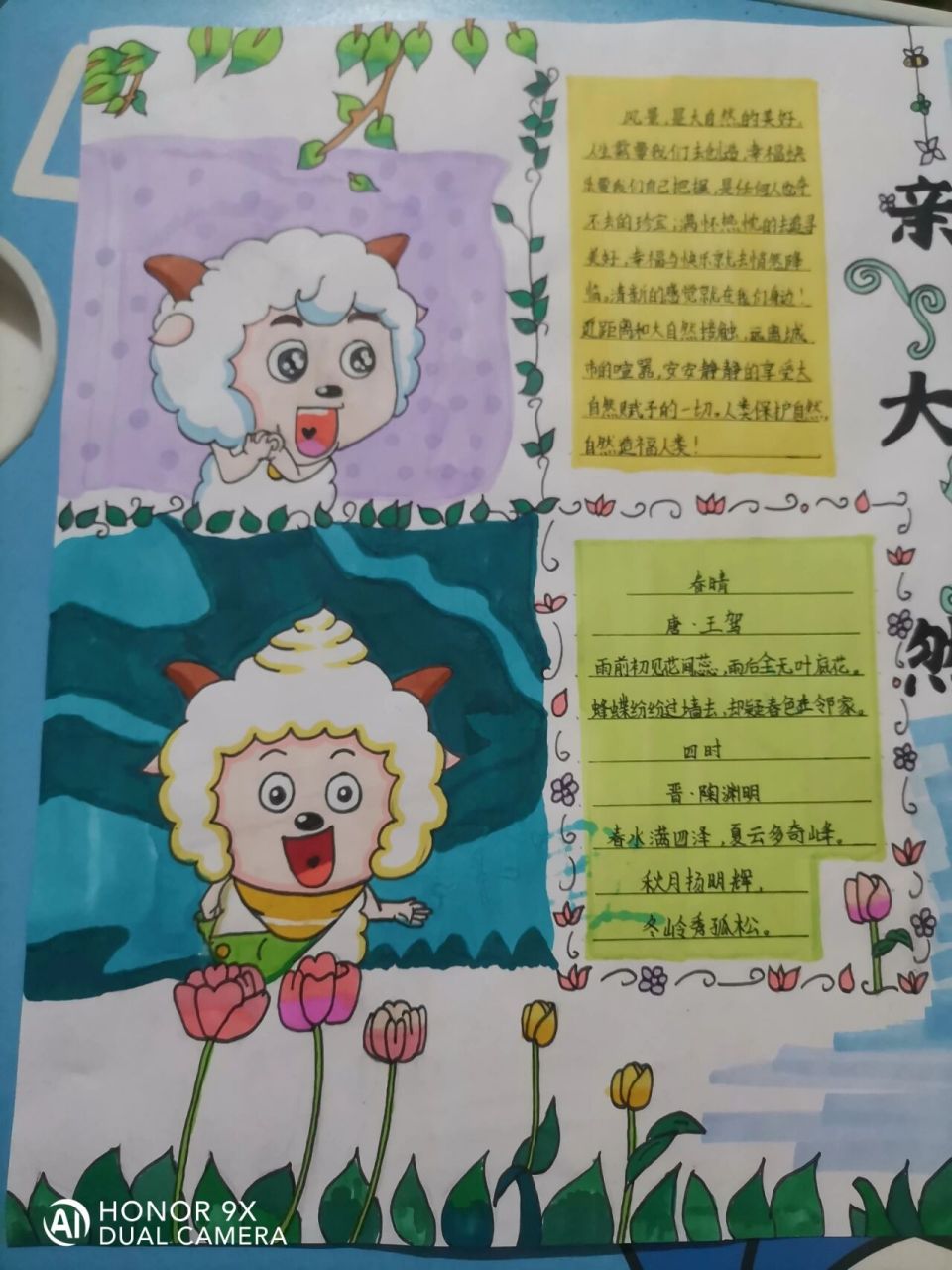 亲近大自然手抄报 我是大帅比