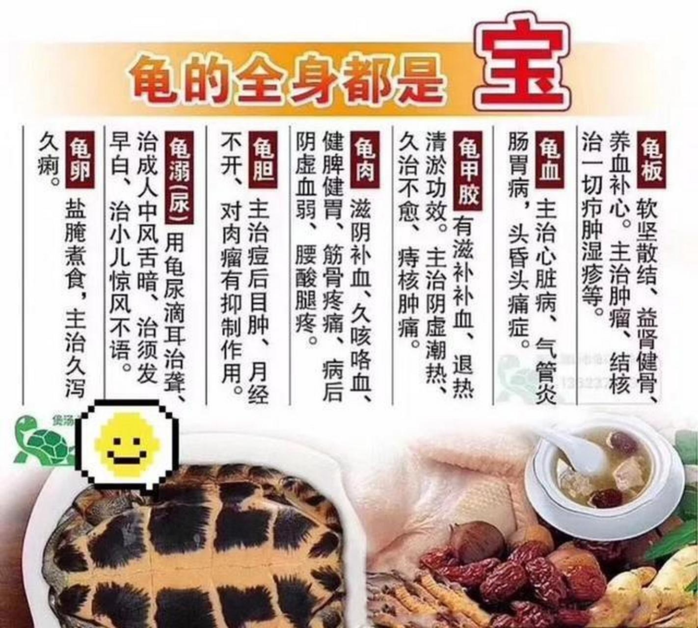 抗癌:石金钱龟的药用价值 石金钱龟有不小的价值,例如,其龟板为龟科