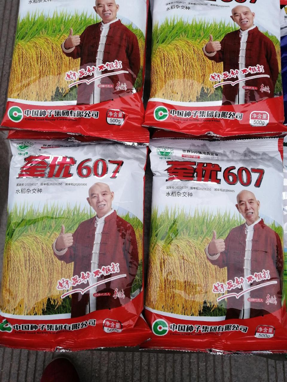 水稻高产品种《荃优607》到货,该品种产量高:分蘖力强:耐坐蔸:抗高温