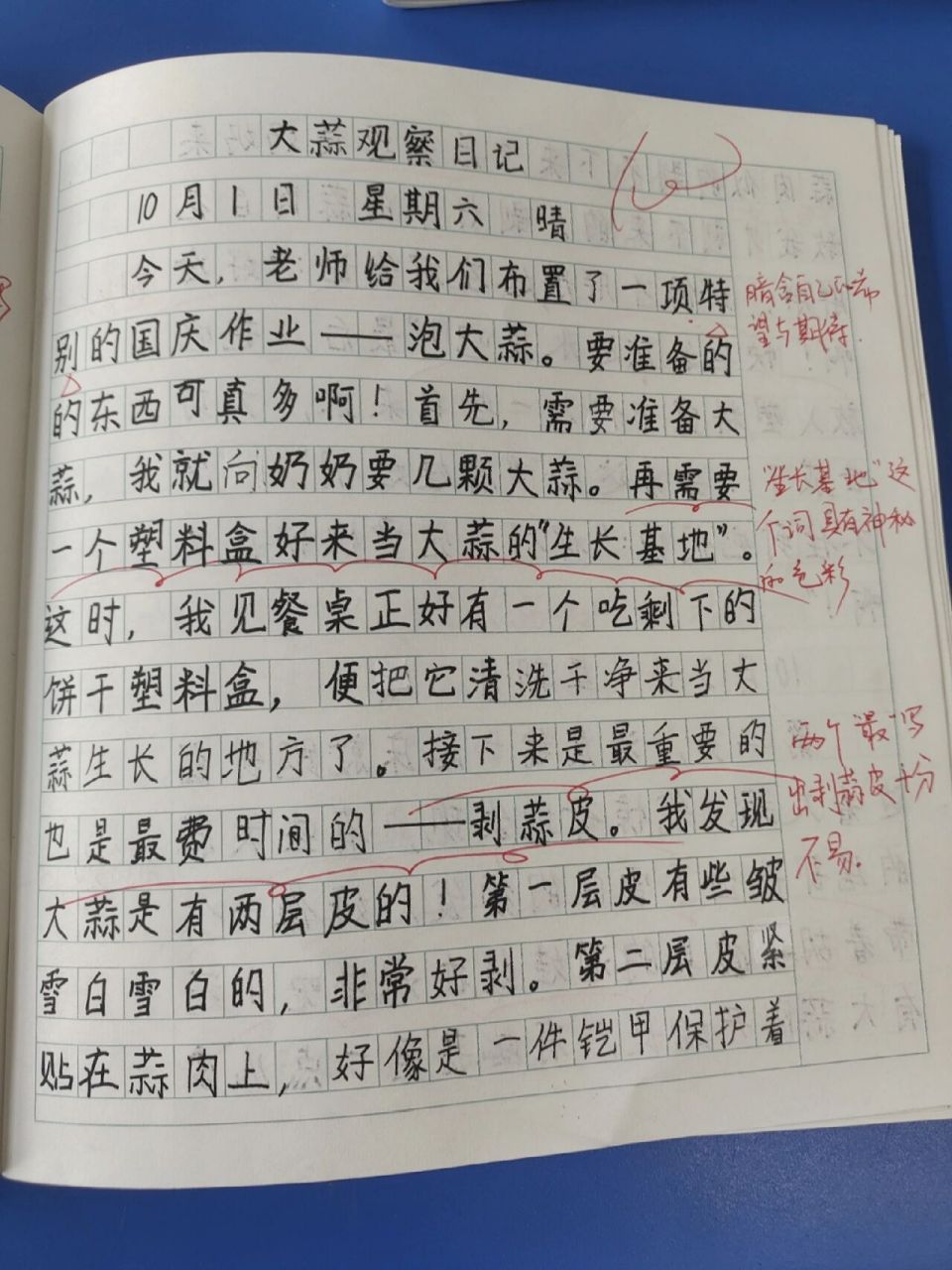 四上学生习作:《观察日记》 描写大蒜的生长过程 注意观察日记的书写