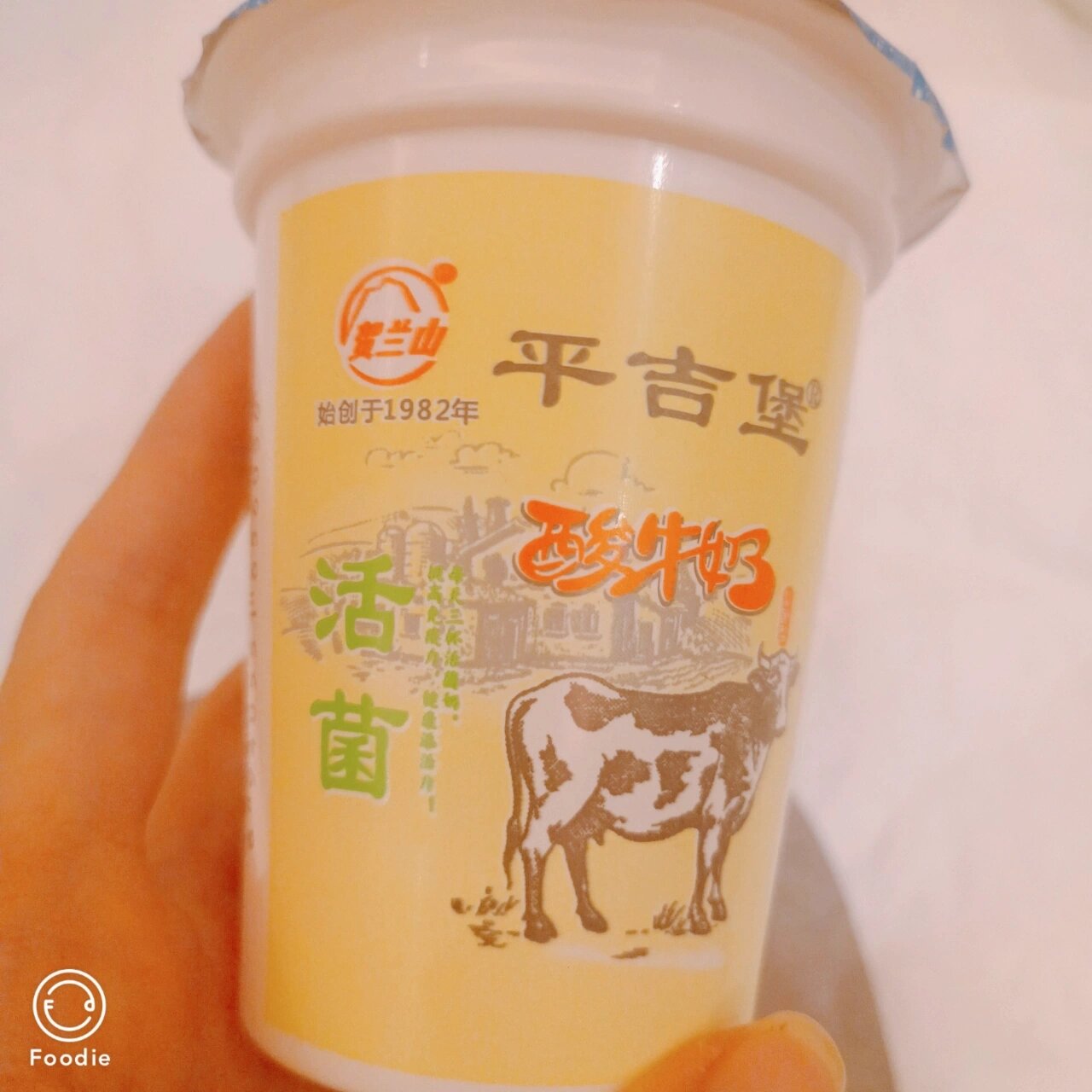 贺兰山平吉堡酸奶买全啦～|银川特产|食 贺兰山平吉堡酸奶买全啦