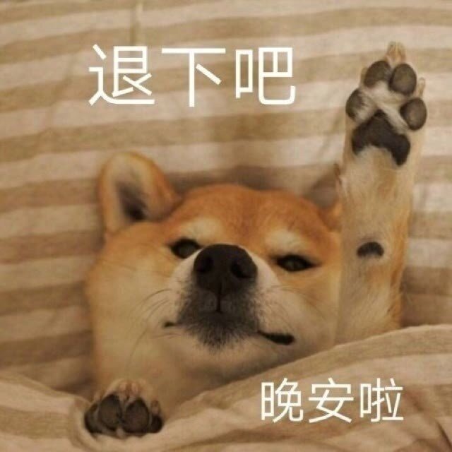 晚安表情包合集