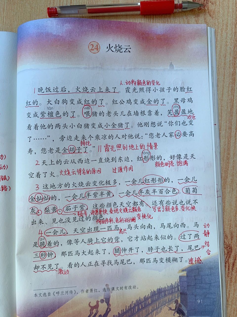 三下语文 24 火烧云 学生版笔记