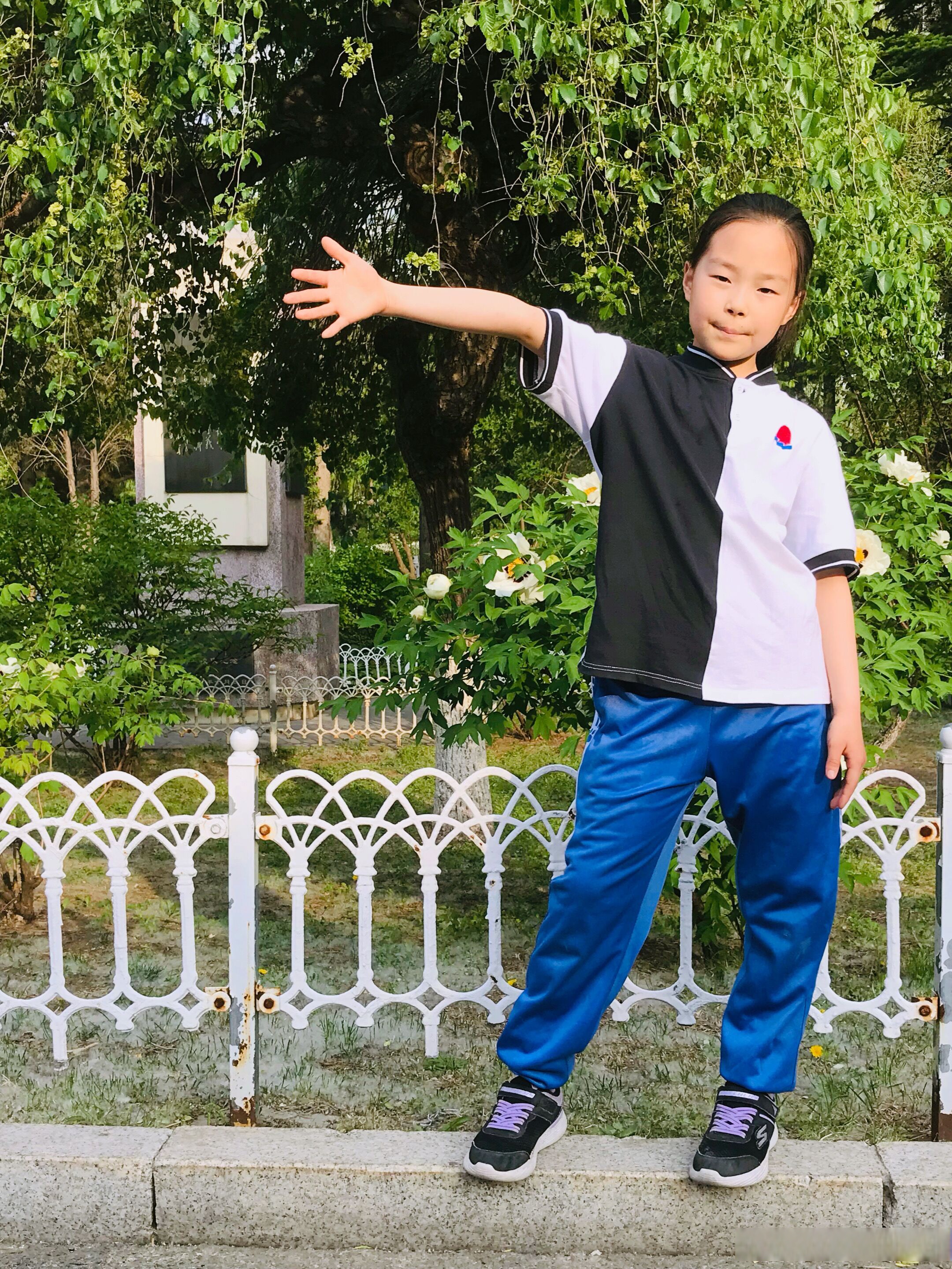 唯有牡丹真国色,花开时节动京城