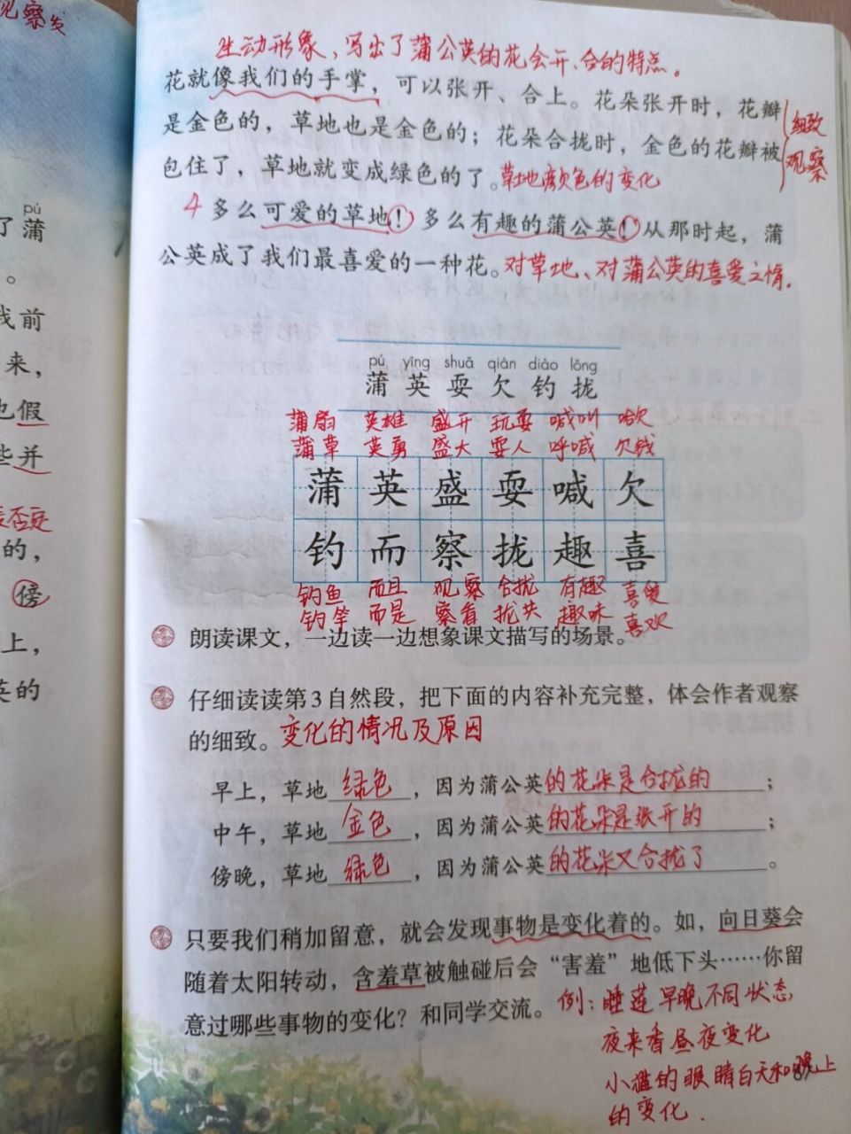三上《金色的草地》备课预习课堂笔记 #三年级上册# #小学语文# #暑假