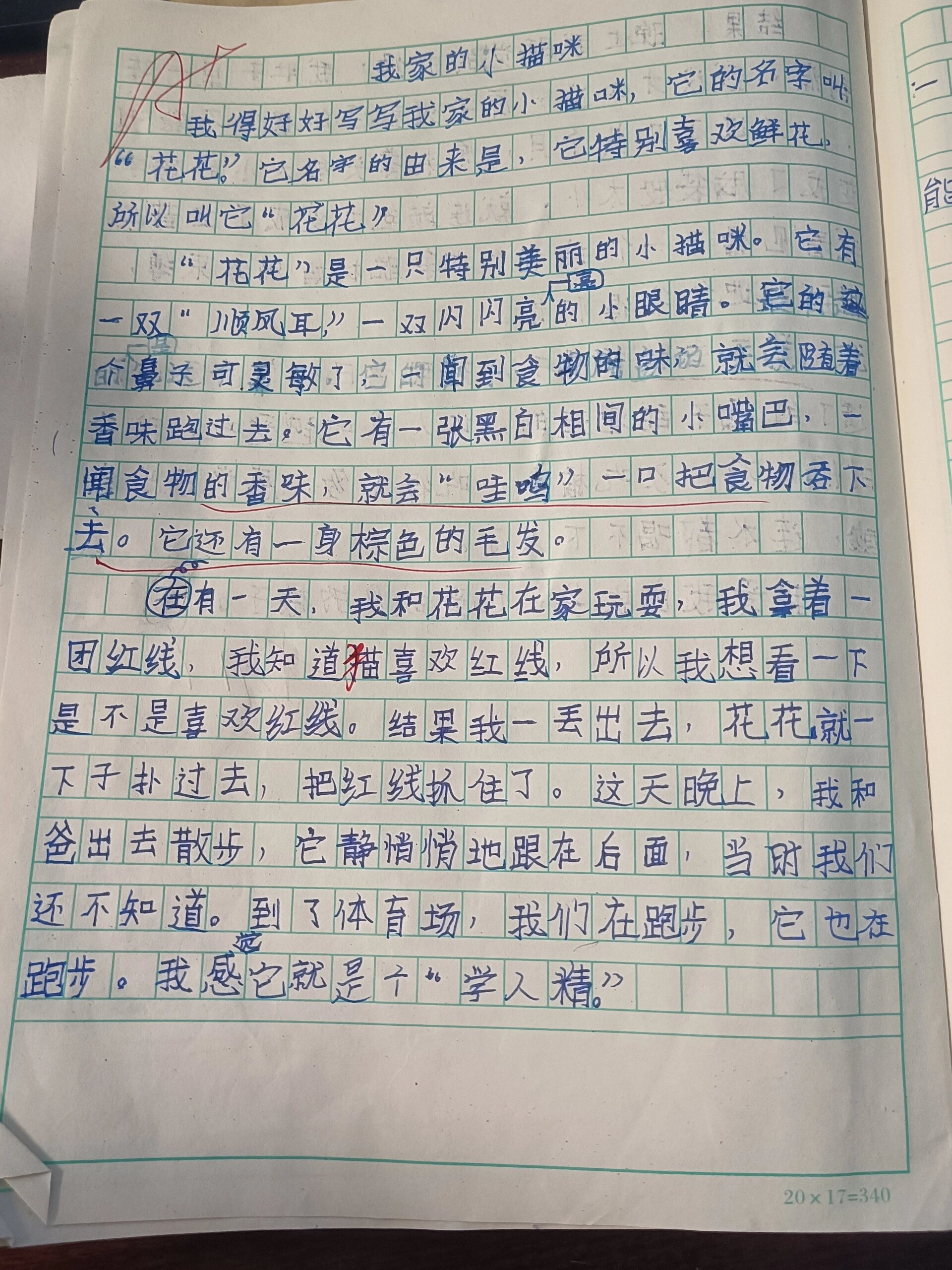四年级观察日记小狗200字(四年级观察日记小狗200字作文)