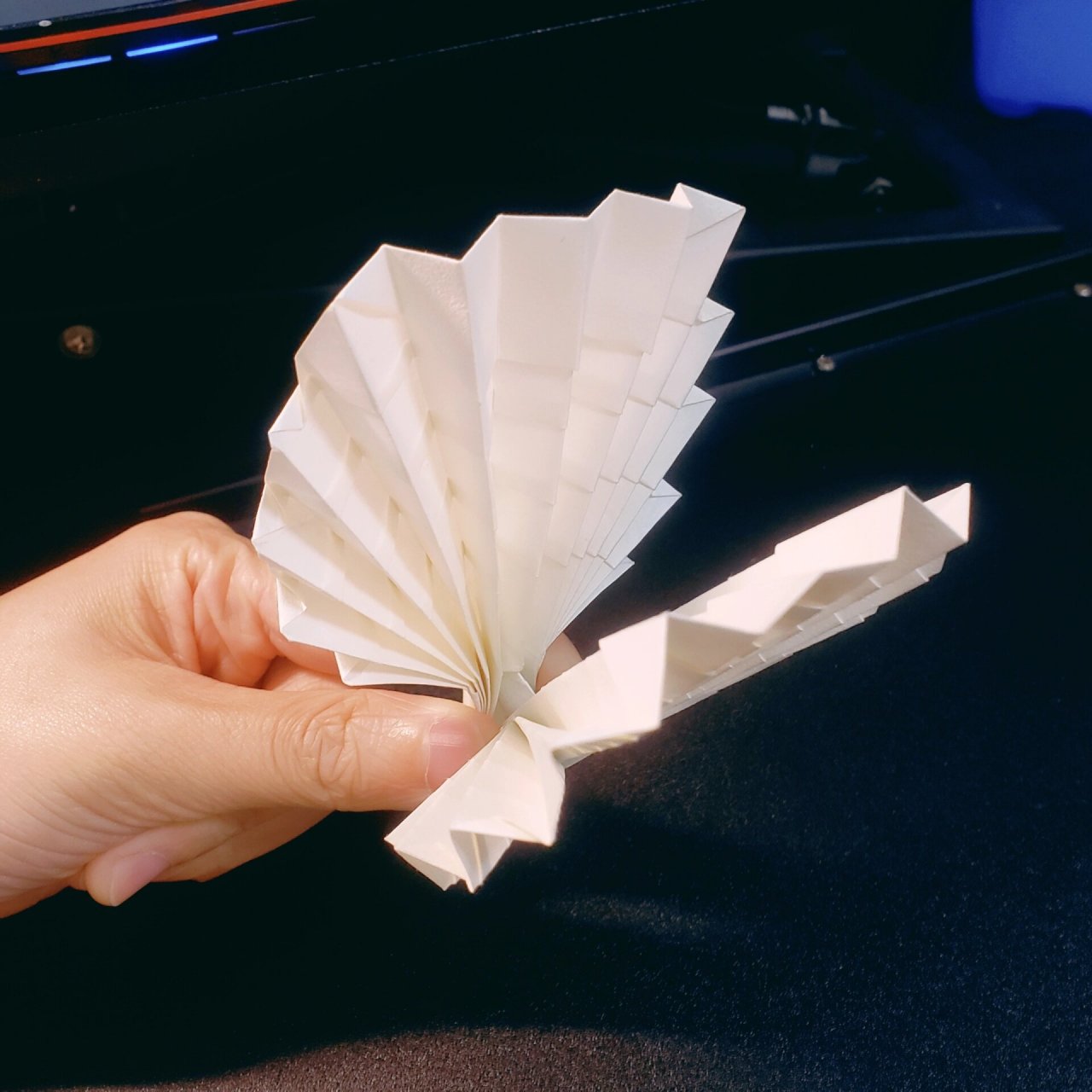 折纸贝壳 真蚌.