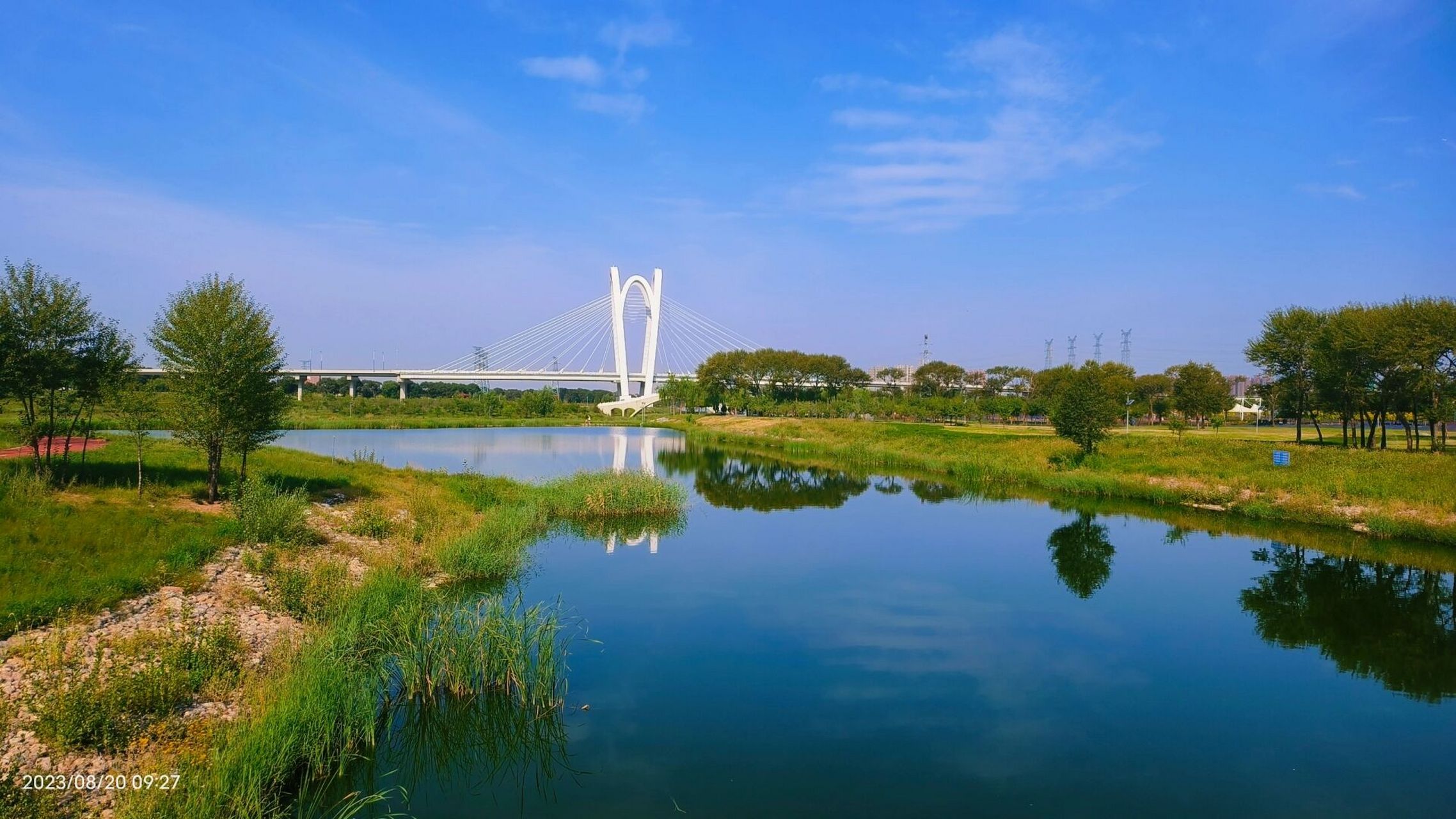 呼市大黑河薰衣草公园 大片的薰衣草和不知名的各色鲜花 将大黑河装点