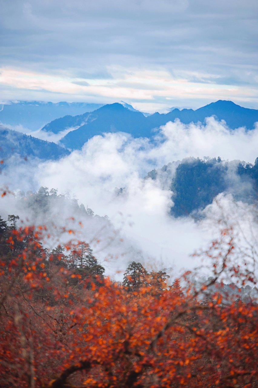 喇叭河秋色2 地点:四川省雅安市天全县二郎山喇叭河景区 拍摄时间