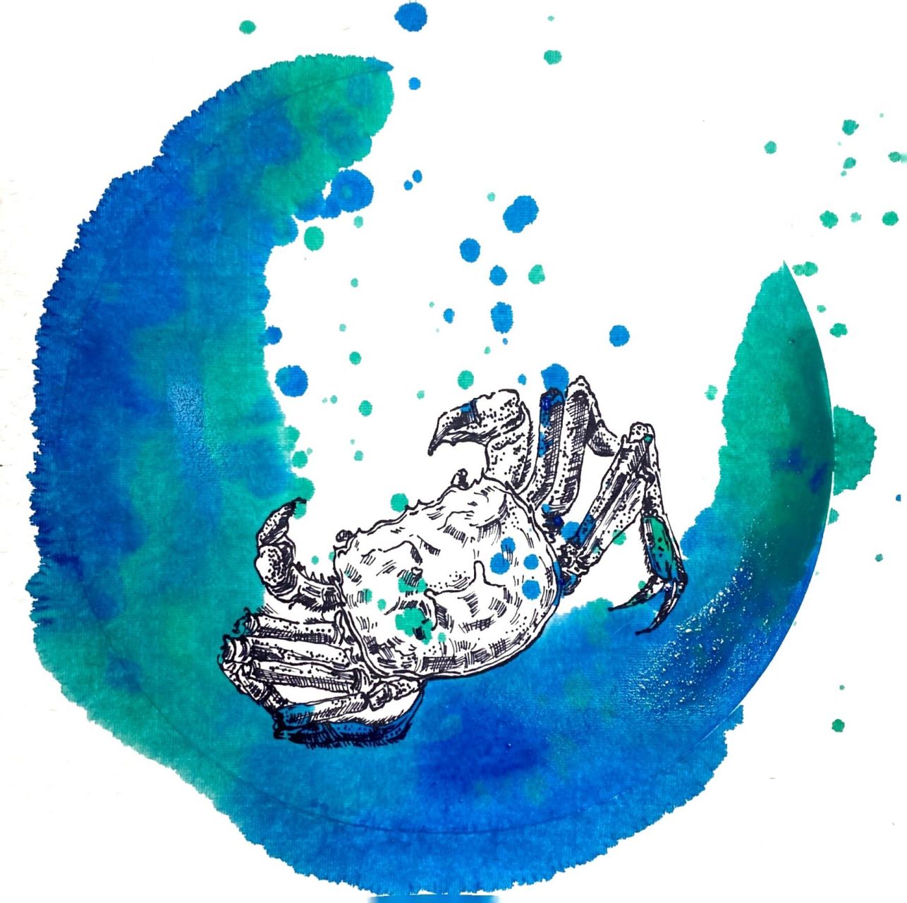 少儿创意美术绘画海底主题课程二螃蟹