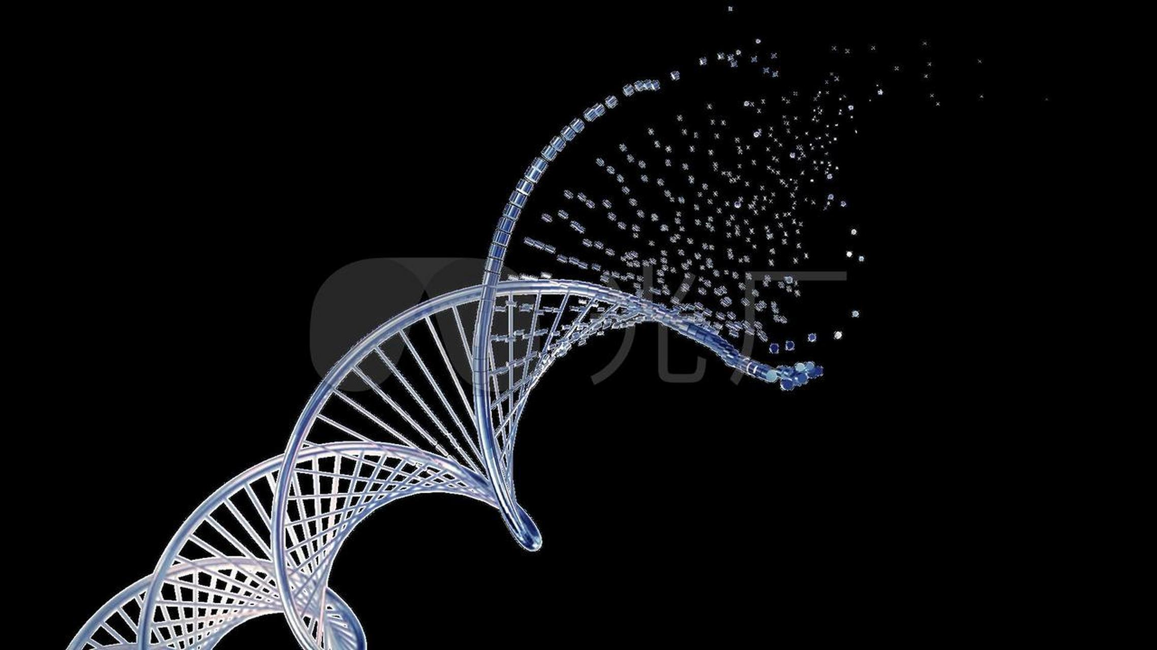 復旦大學等26家科研機構聯合發表中國人的基因圖譜在外國知名學術雜誌