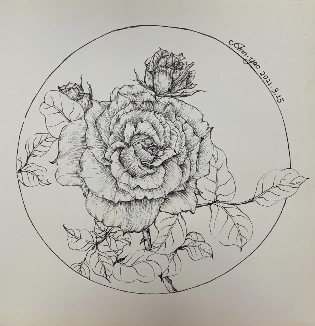 团练第六课玫瑰花部分同学作业