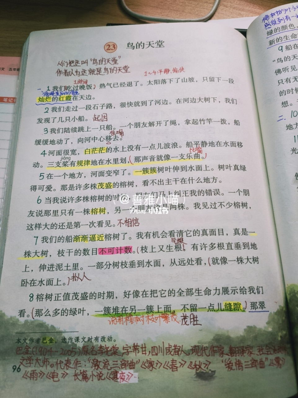部编版五上23课《鸟的天堂》笔记
