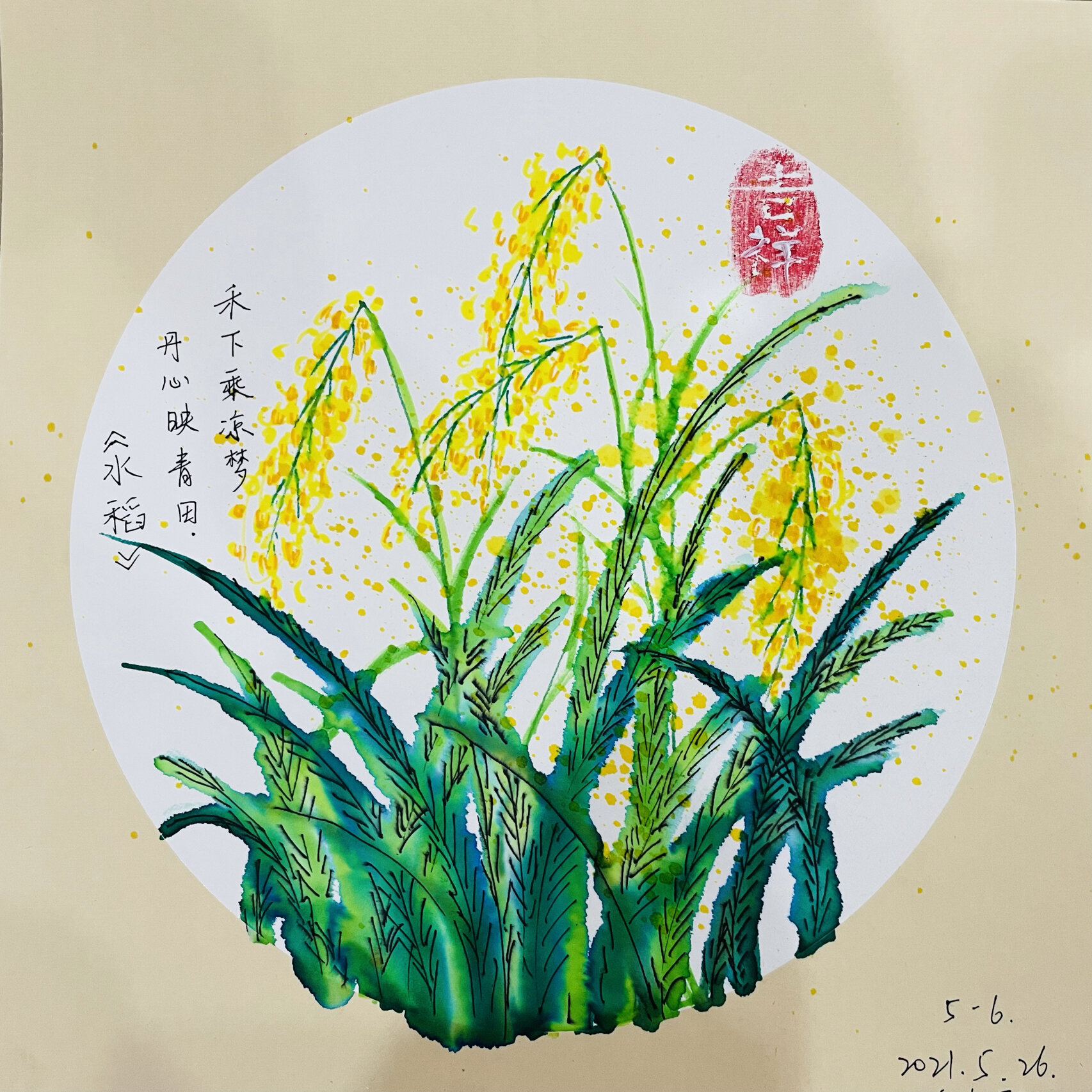 操作领域:用于水彩笔晕染的方法感受色彩的妙趣,感受不一样的水稻的