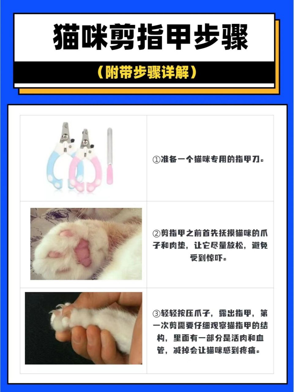 新手养猫不发怵6015帮猫咪剪指甲其实很简单 93步骤1:选择光线