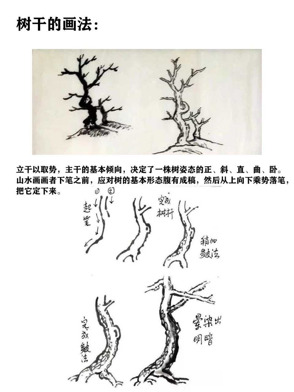 【国画教程】树的画法