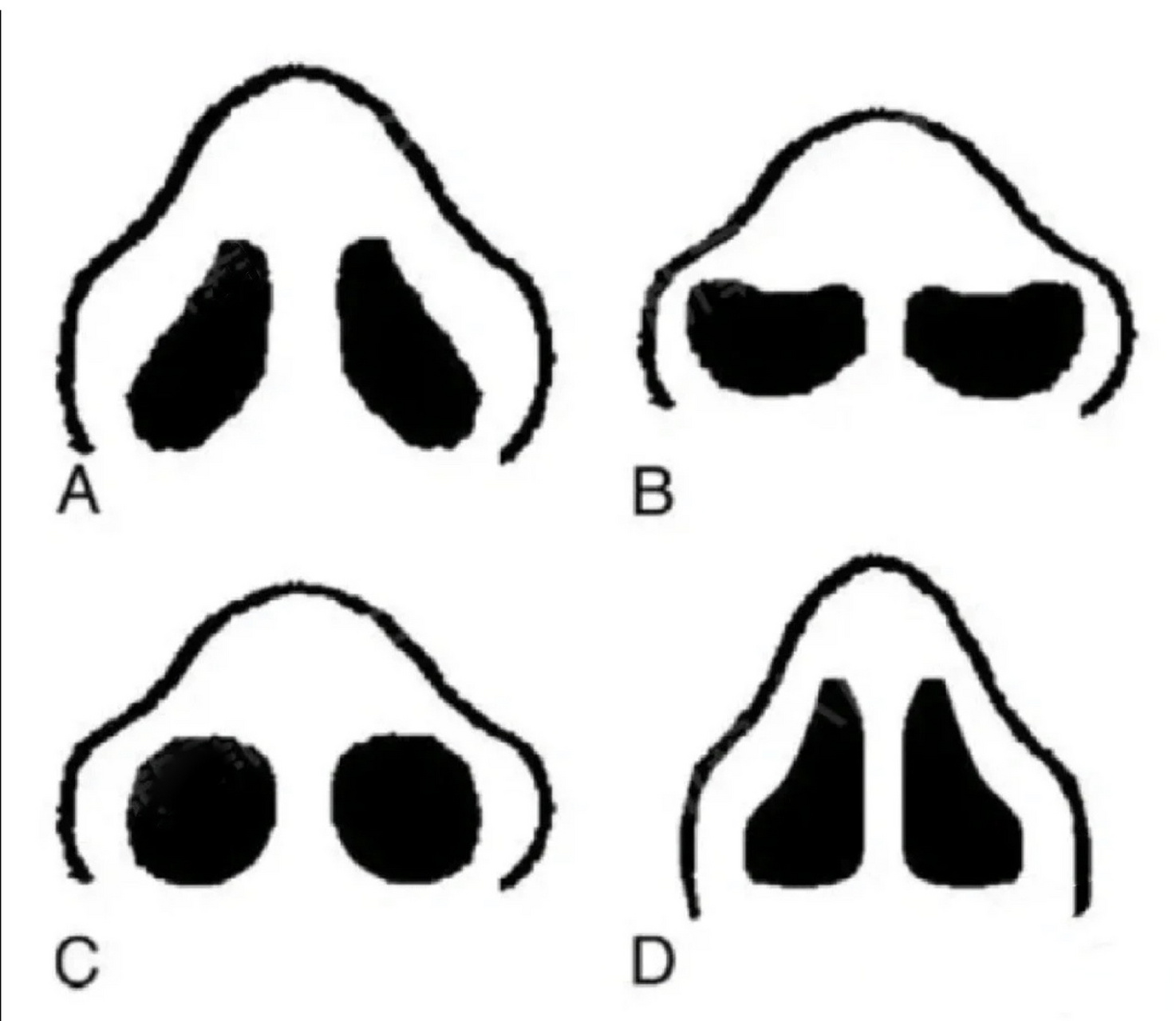 抬头看下自己的鼻孔形状,你是几号鼻孔,来对号入座一下[来]  #最美