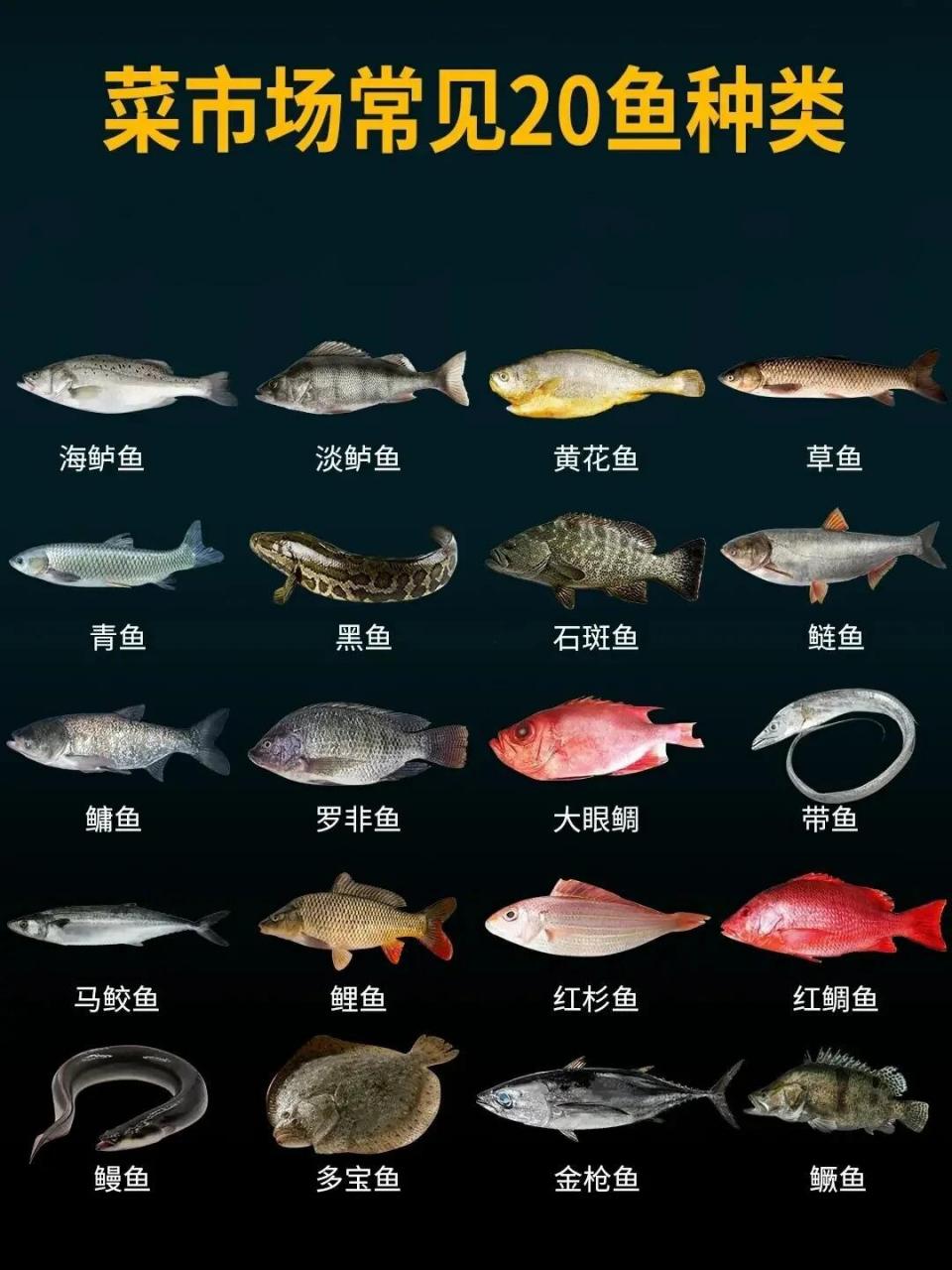 菜市场的鱼的种类哈哈这次很全!