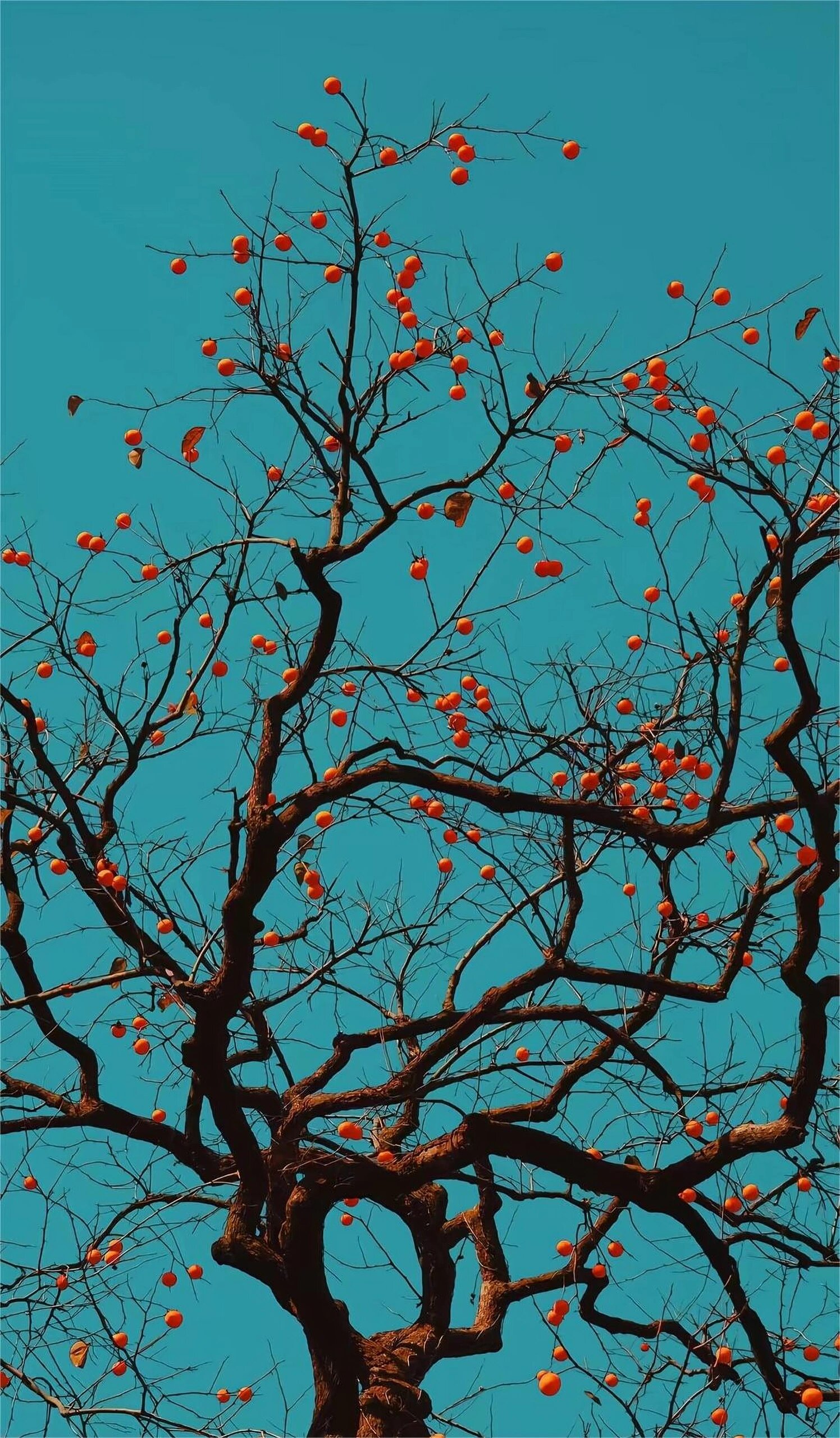 1%电量也要换的8k超清壁纸