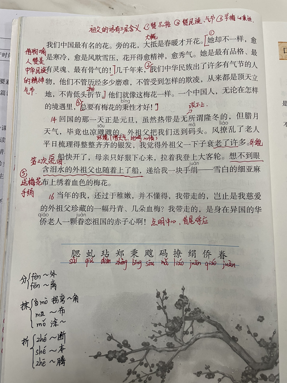 五下语文 第四课   梅花魂>> 五年级下册语文预习笔记