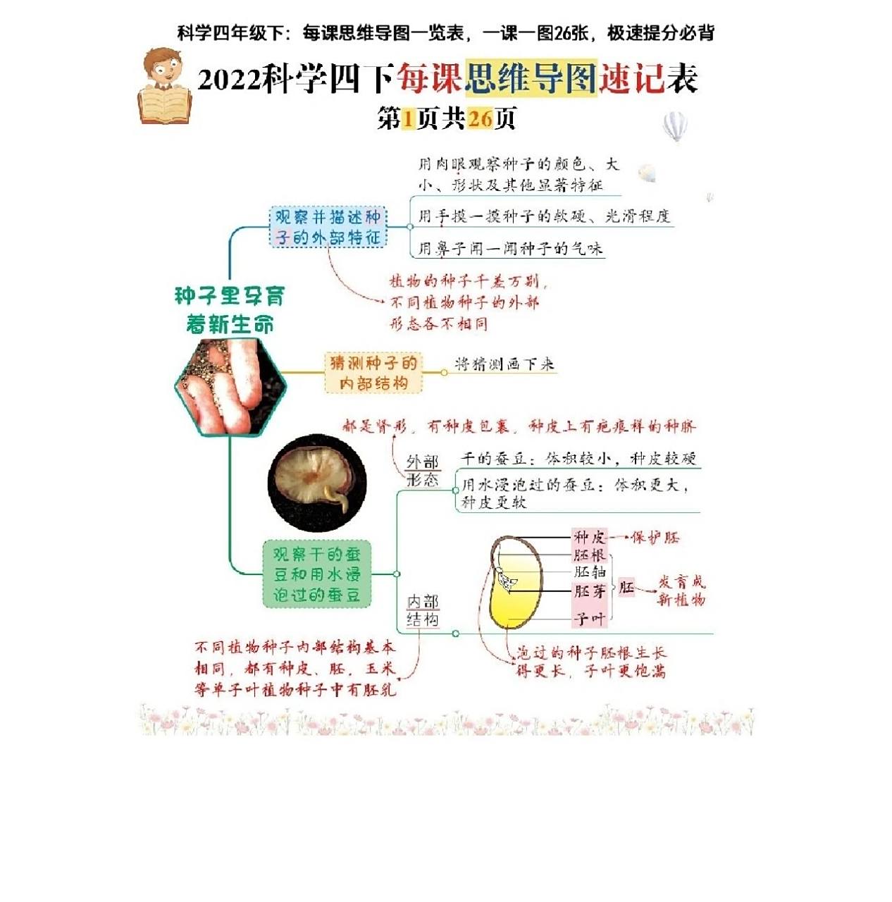 四年级下册科学每课思维导图  速记表 26页电子版可打印
