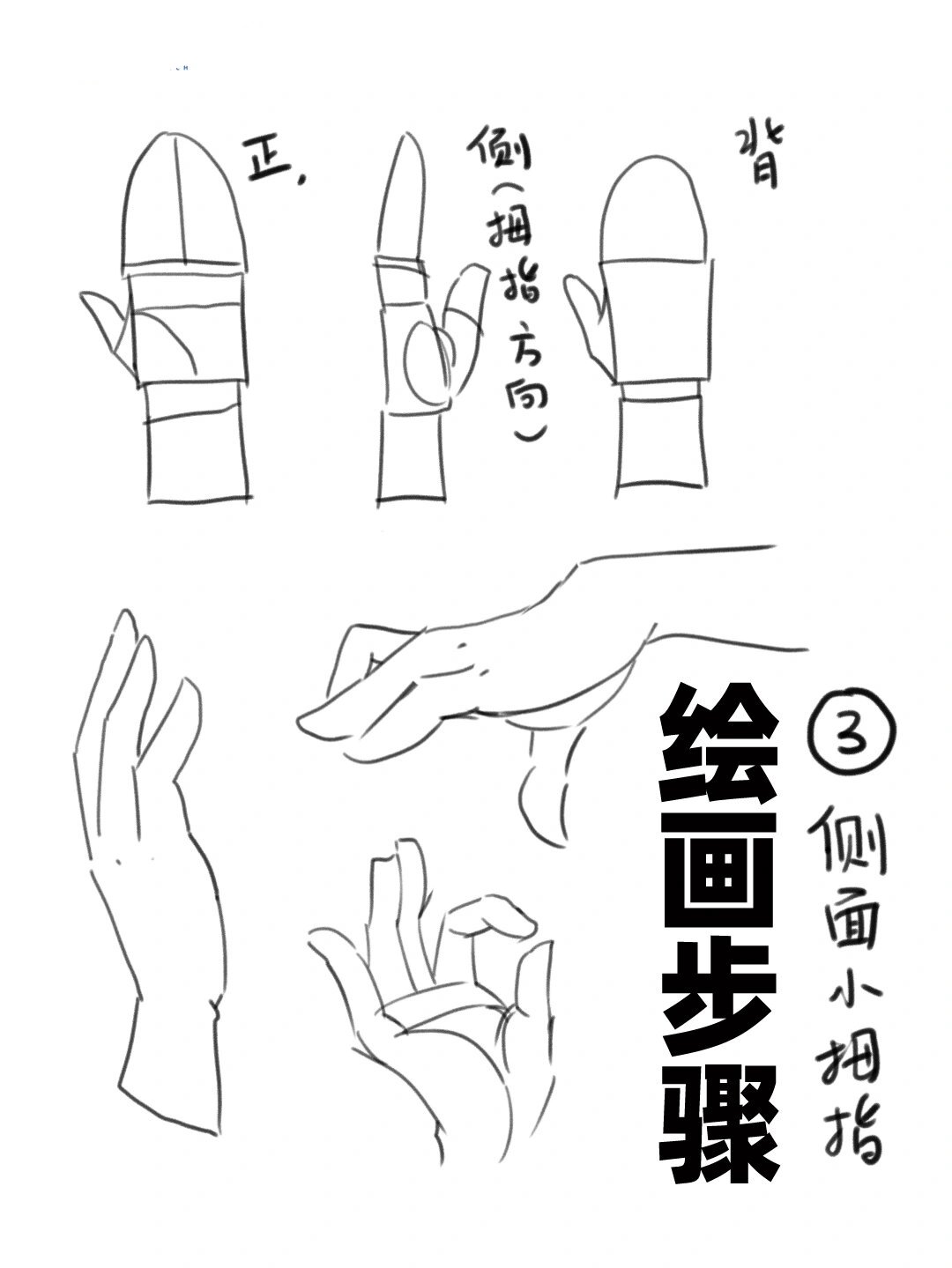 零基础绘画入门教程