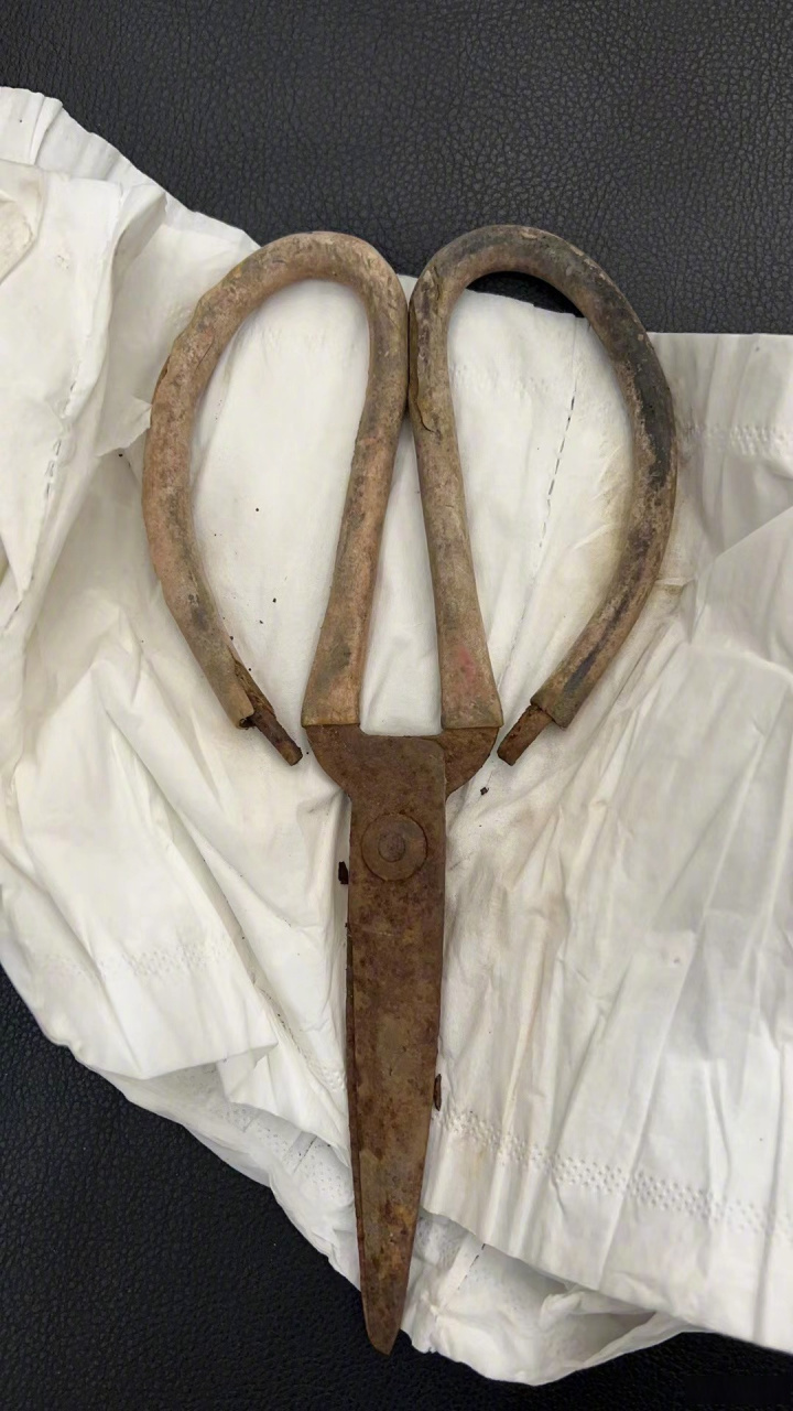 曲阳案3#,蠡县公安到曲阳抓 撕 ,依法应立即送看守