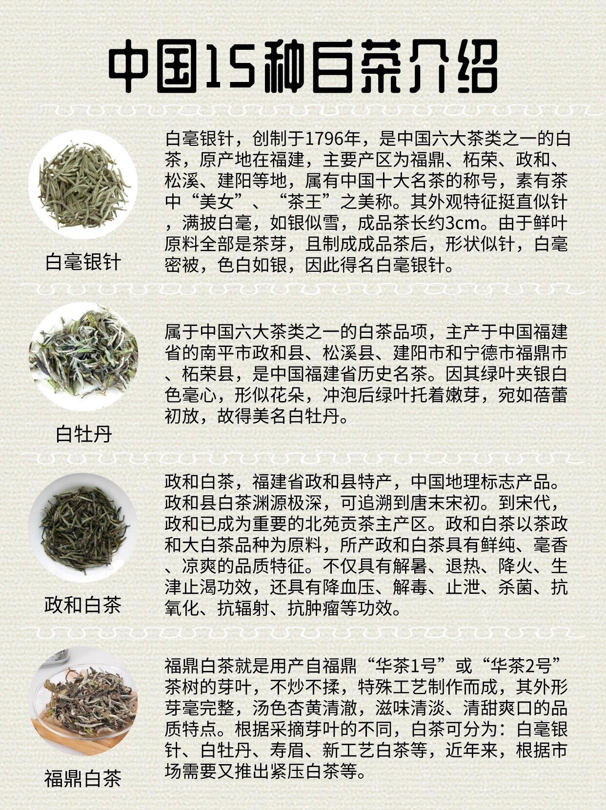 太姥山白茶简介图片