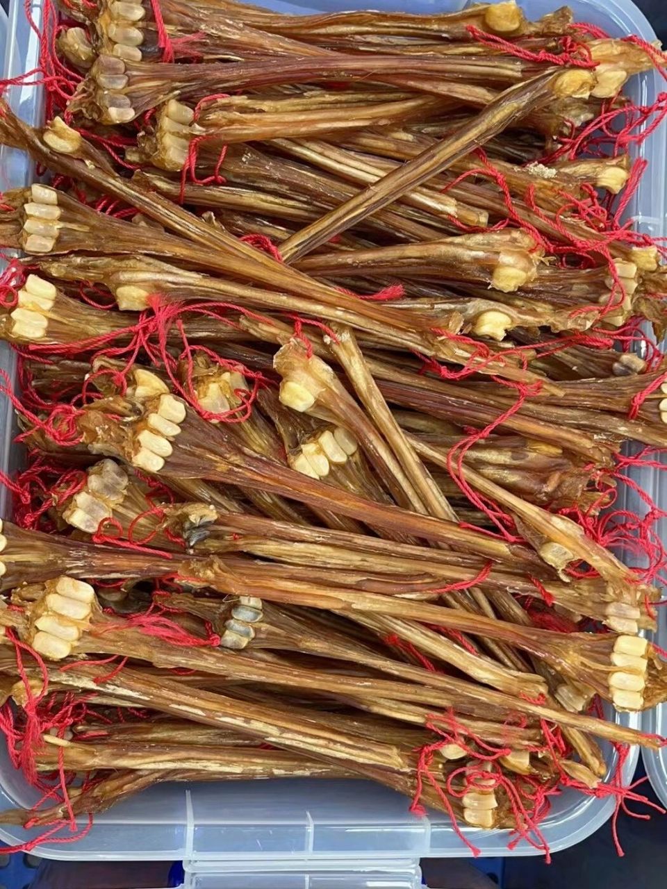 鹿筋功效与泡发 鹿筋有强筋壮骨,通络益髓.