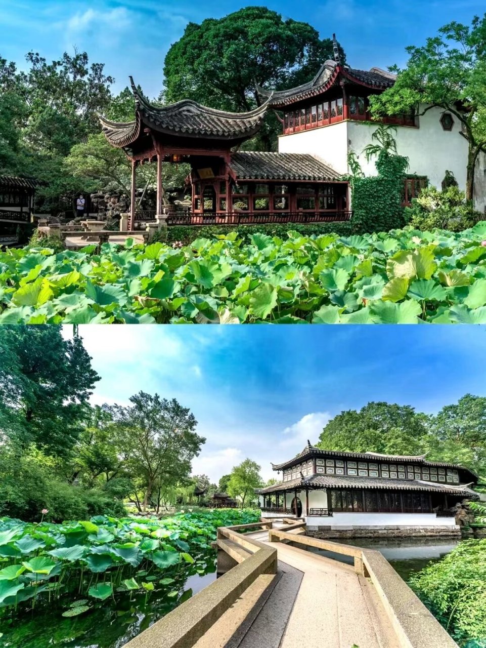 不同 99与北京颐和园,承德避暑山庄,苏州留园并称为"中国四大名园"