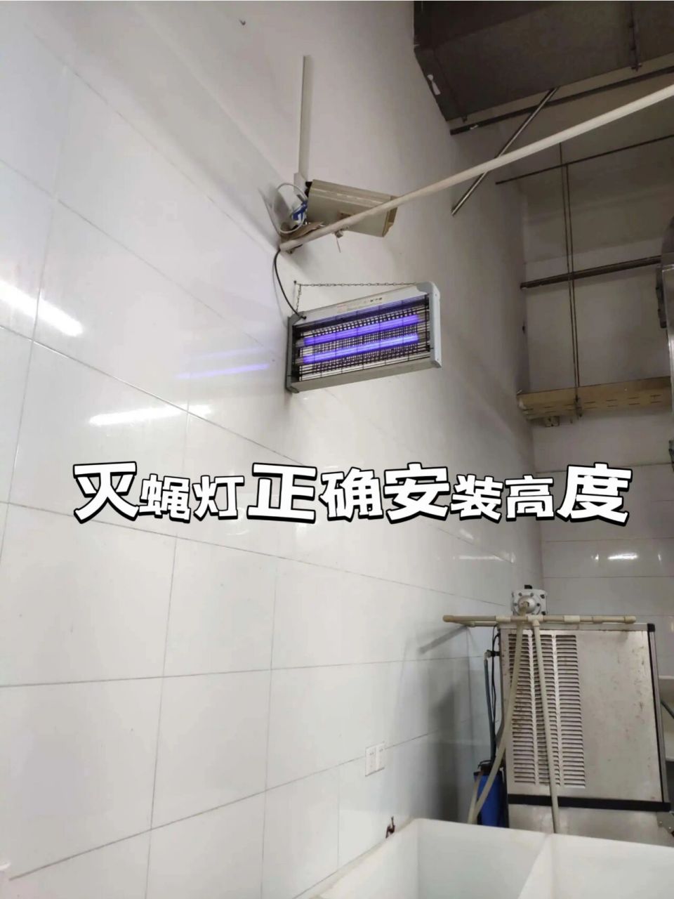如何安装灭蝇灯才能有效防制飞虫94 96灭蝇灯应该如何安装?